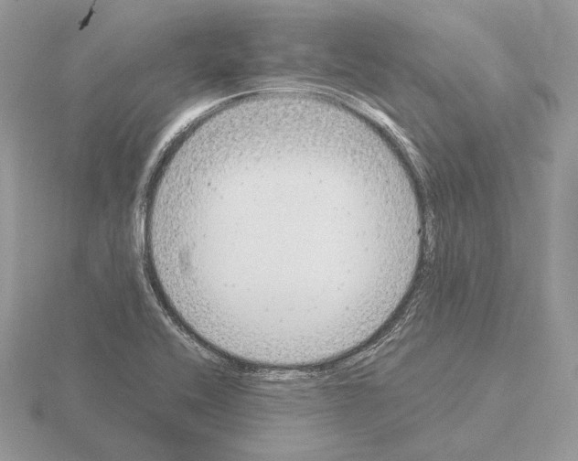 X0000115301416200912141107