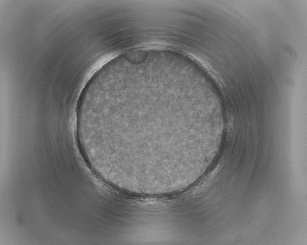 X0000115301418200912141107