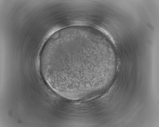 X0000115301419200912141107