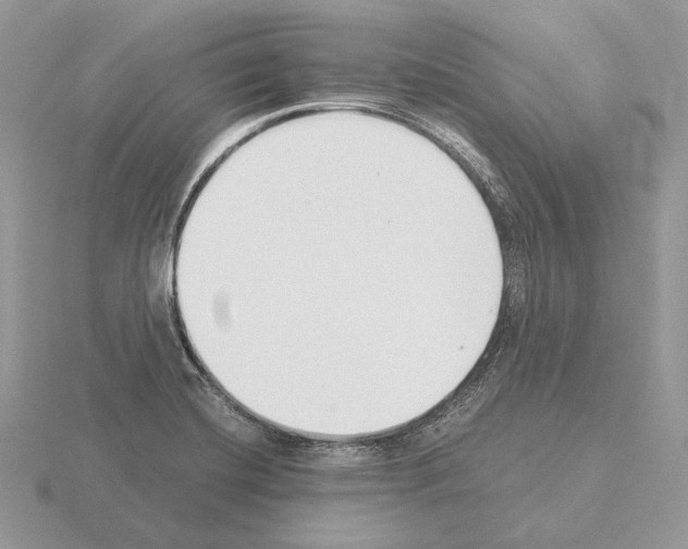 X0000115301420200912141107