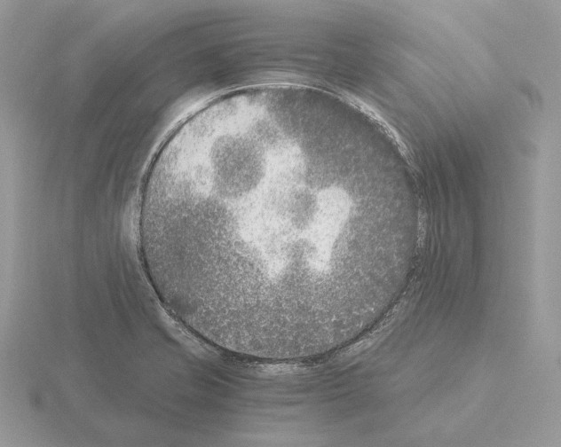 X0000115301421200912141107