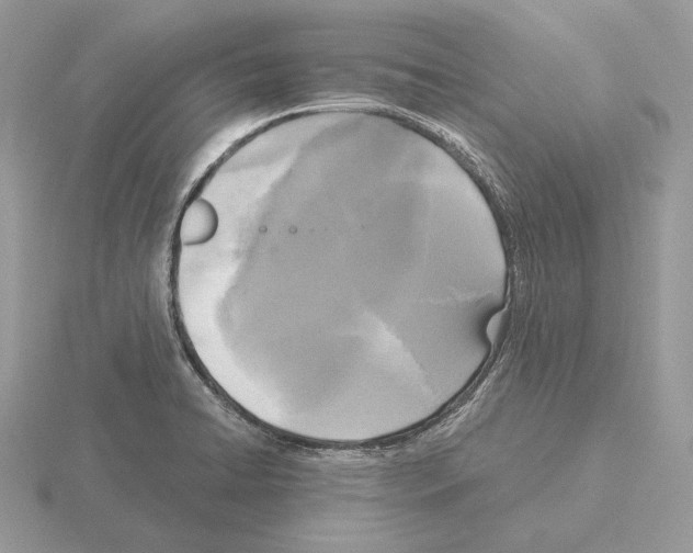 X0000115301422200912141107