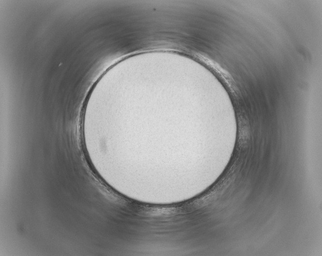 X0000115301423200912141107