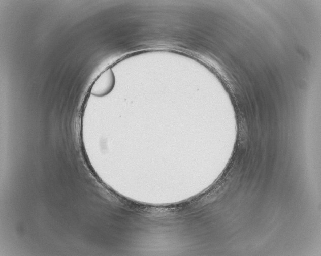 X0000115301424200912141107