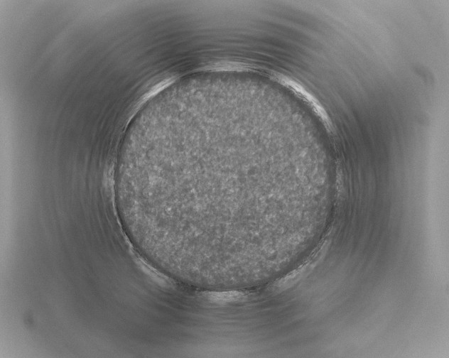 X0000115301425200912141107