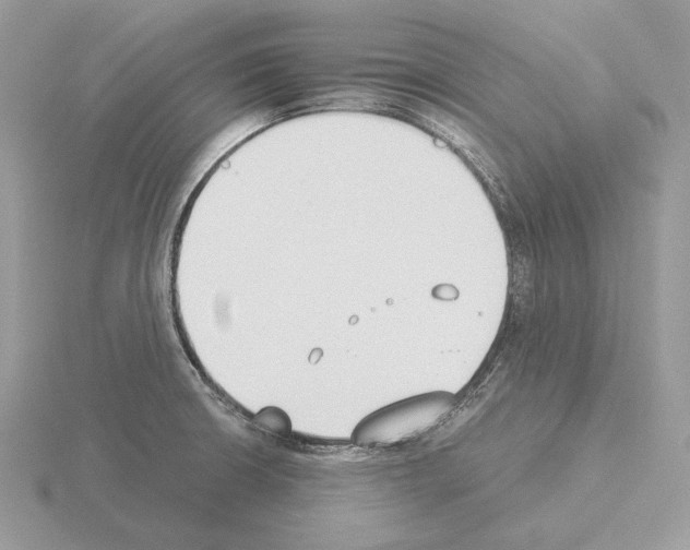 X0000115301426200912141107