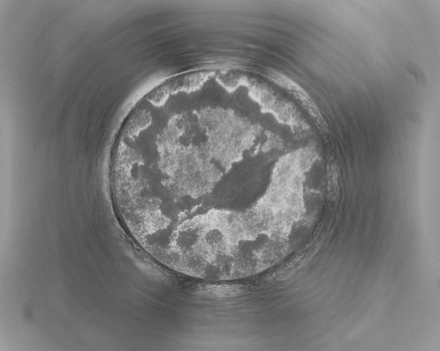 X0000115301427200912141107