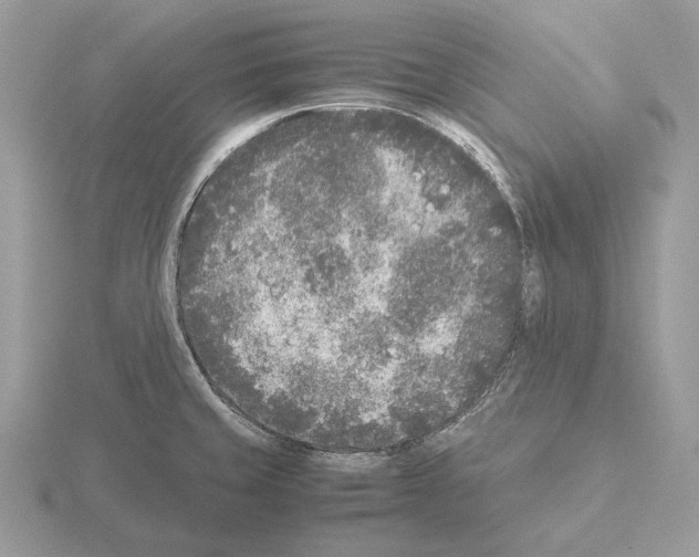 X0000115301429200912141107