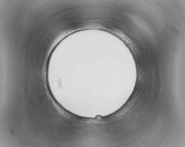 X0000115301430200912141107