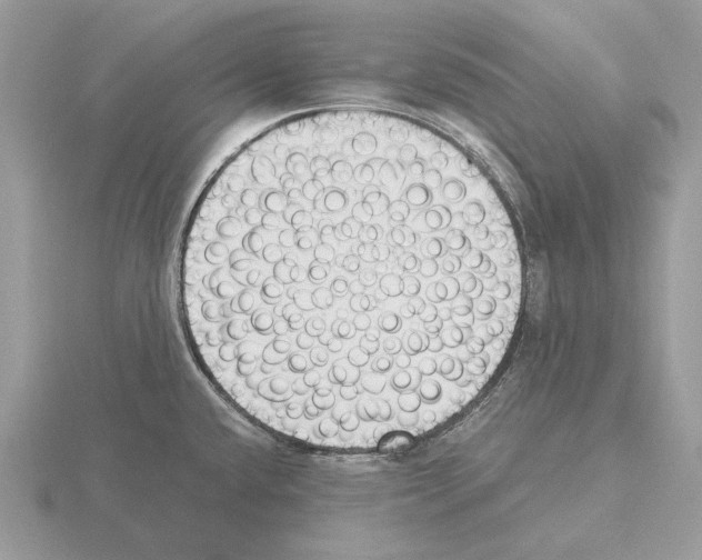 X0000115301432200912141107