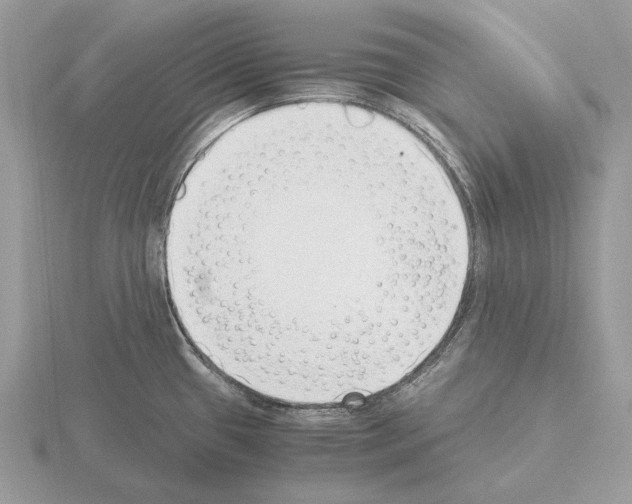 X0000115301433200912141107