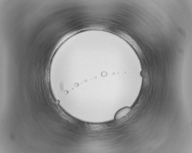 X0000115301436200912141107