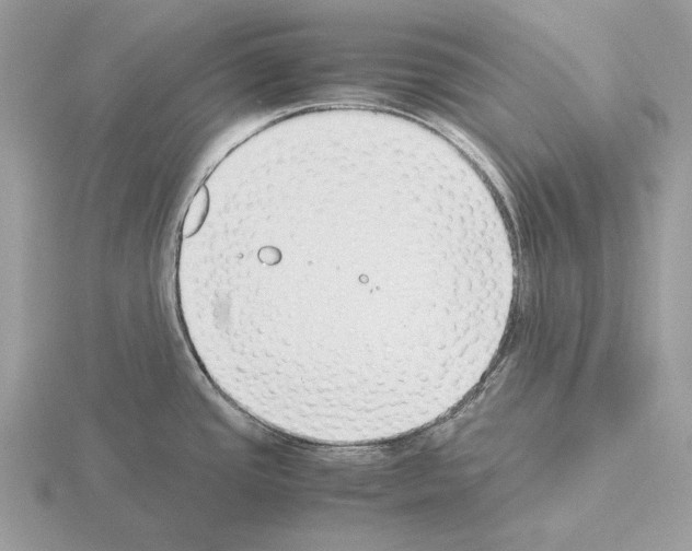 X0000115301437200912141107