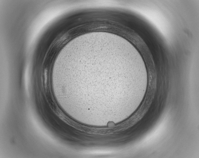 X0000115301439200912141107