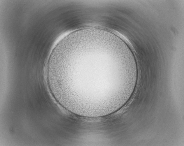 X0000115301440200912141107