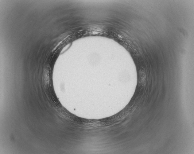 X0000115301442200912141107