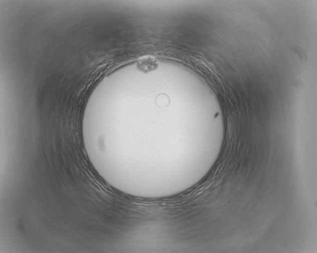 X0000115301444200912141107