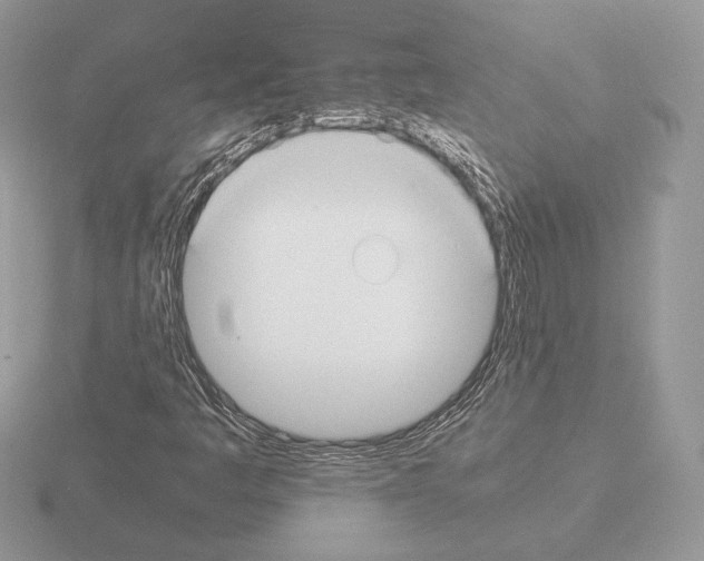 X0000115301445200912141107