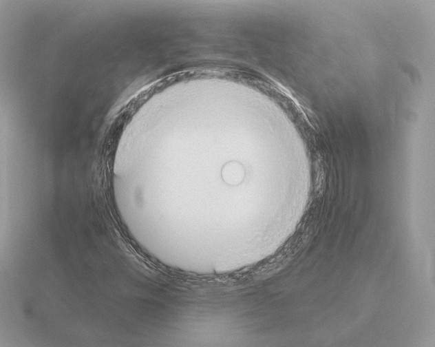 X0000115301448200912141106