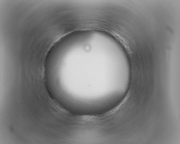 X0000115301449200912141106