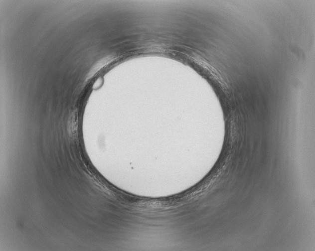 X0000115301450200912141106