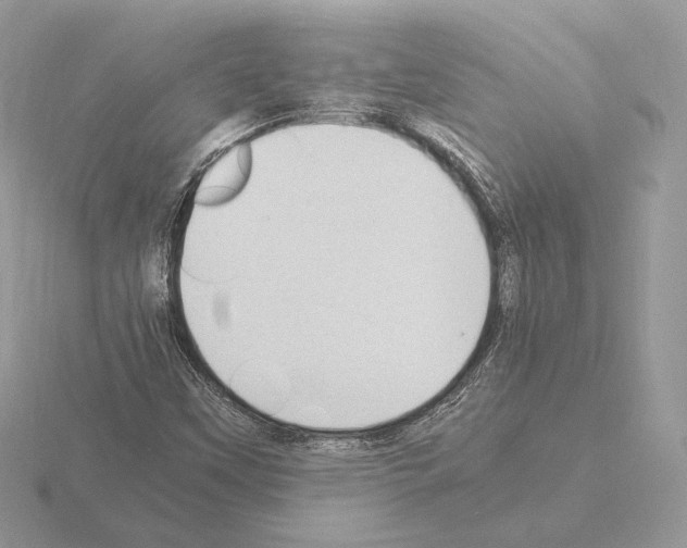 X0000115301451200912141106