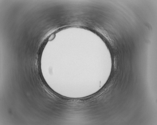 X0000115301452200912141106