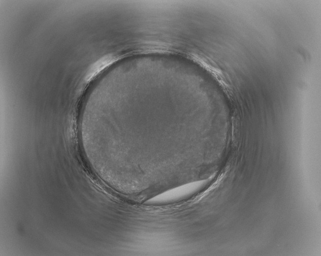 X0000115301453200912141106