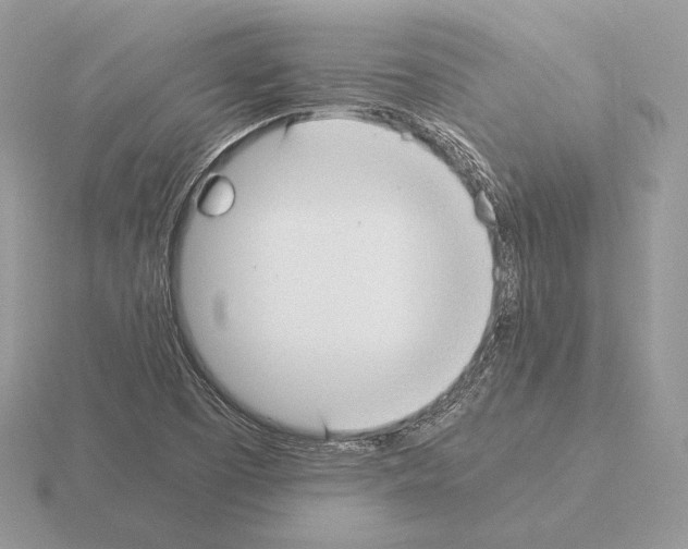 X0000115301457200912141106