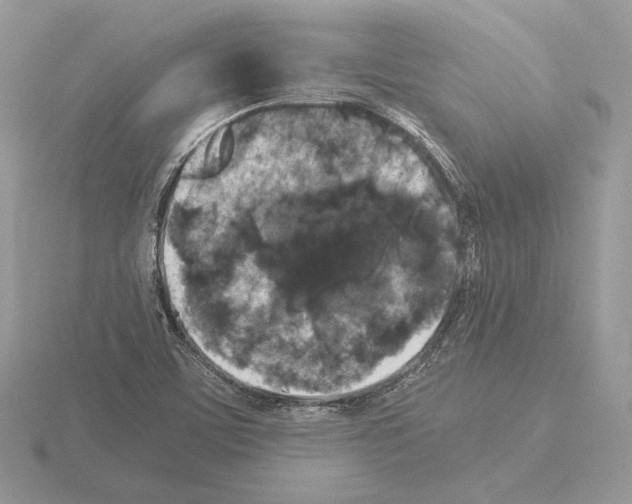 X0000115301459200912141106