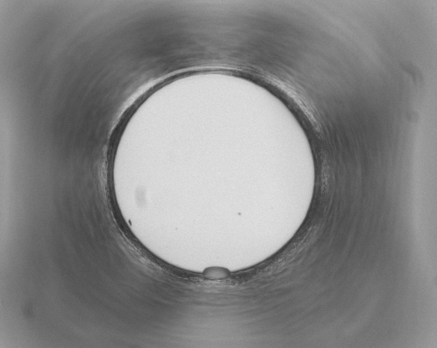 X0000115301460200912141106