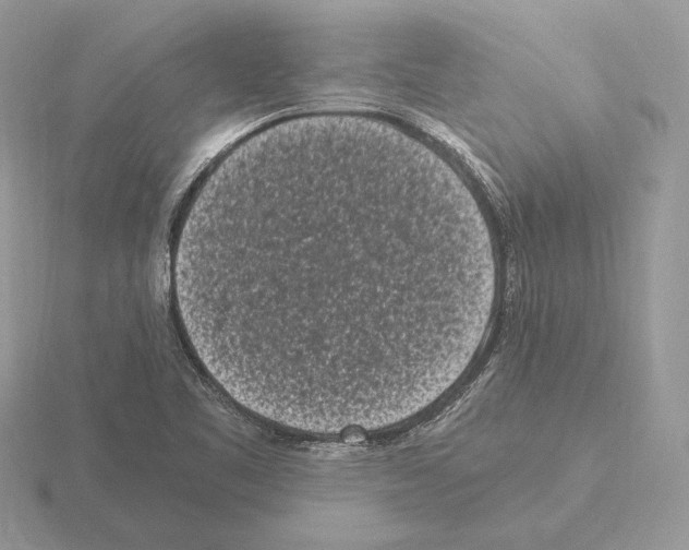 X0000115301461200912141106