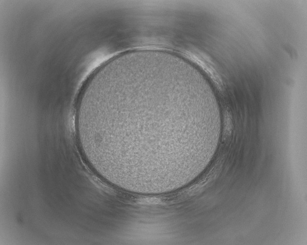 X0000115301462200912141106