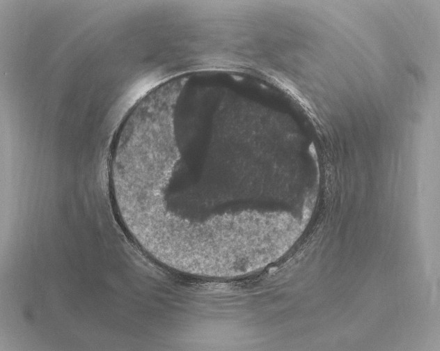 X0000115301463200912141106