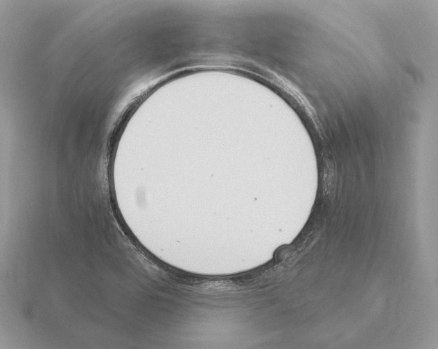 X0000115301464200912141106