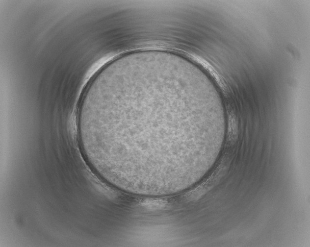 X0000115301466200912141106