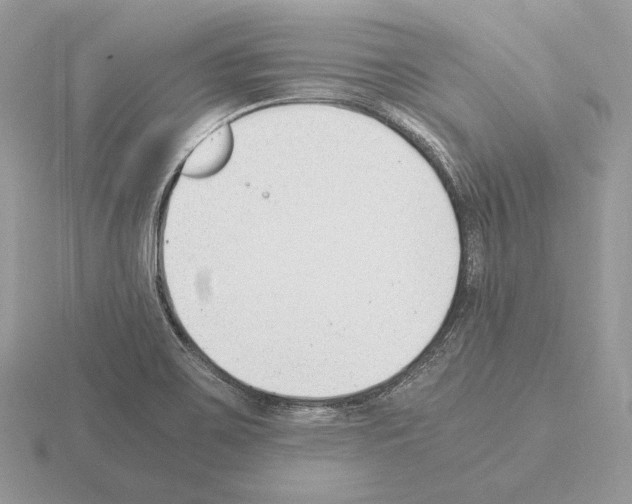 X0000115301467200912141106