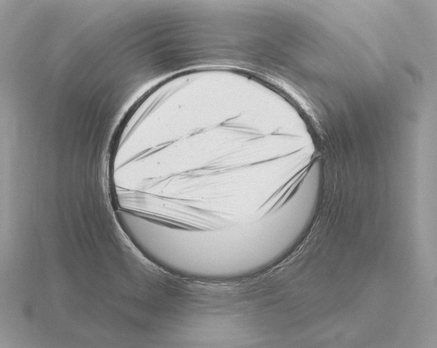 X0000115301468200912141106