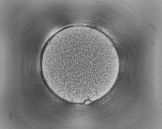 X0000115301469200912141106