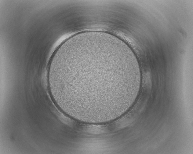 X0000115301470200912141106