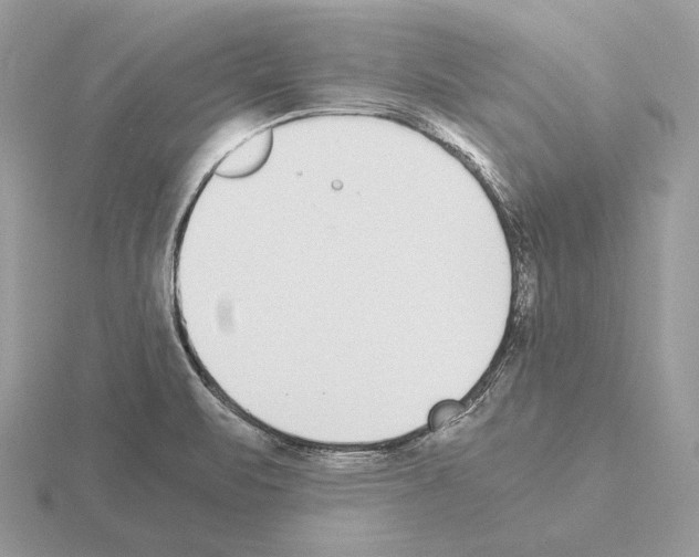 X0000115301471200912141106