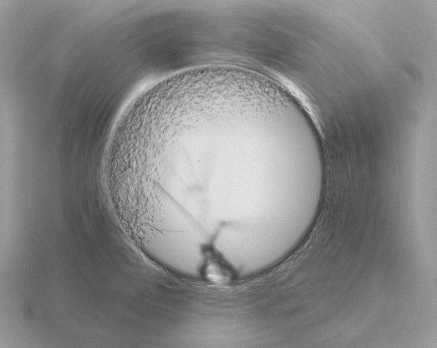 X0000115301472200912141106