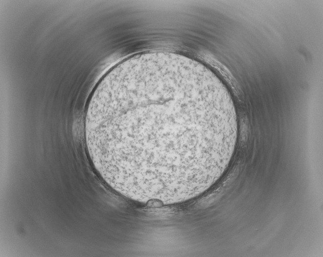 X0000115301473200912141106