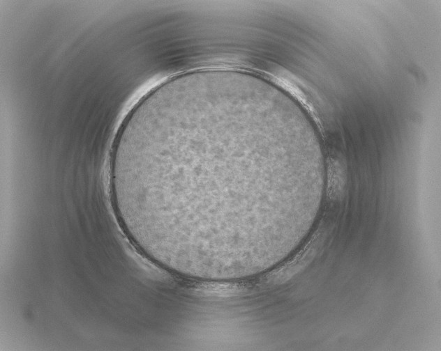 X0000115301474200912141106