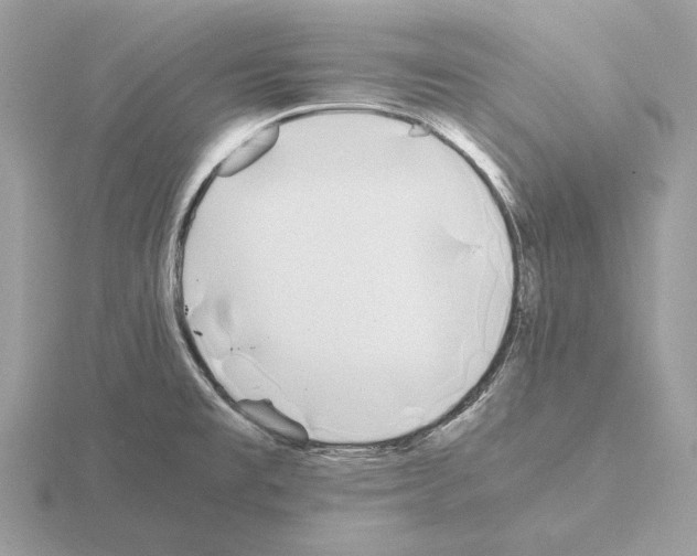 X0000115301477200912141106