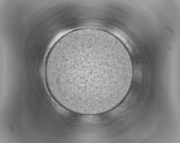 X0000115301478200912141106