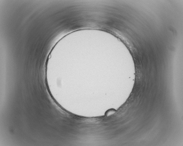 X0000115301479200912141106