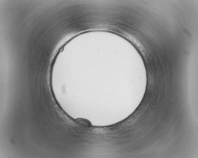 X0000115301480200912141106