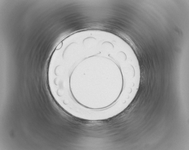 X0000115301483200912141106