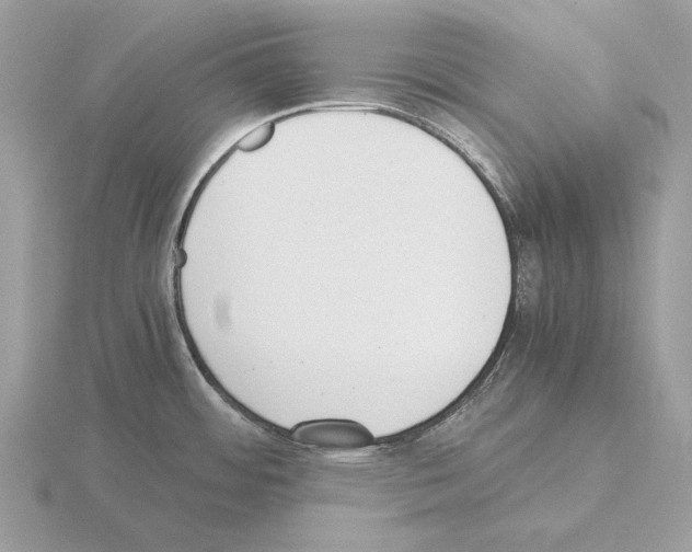 X0000115301484200912141106